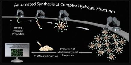 Robot-Assisted Synthesis of Structure-Controlled Star-Cluster Hydrogels