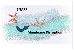 Molecular dynamics simulations