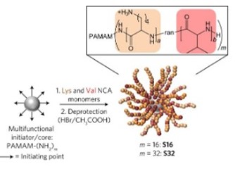 Structurally nanoengineered antimicrobial peptide polymers
