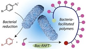 Bacterial Redox Potential Powers Controlled Radical Polymerization